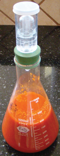 A test bottle of superhot sauce, research for a value-added product.