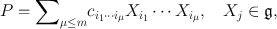 
$$P ={\sum }_{\mu\leq m}{c}_{{i}_{1}\cdots {i}_{\mu }}{X}_{{i}_{1}}\cdots {X}_{{i}_{\mu }},\quad {X}_{j}\in \mathfrak{g},$$
