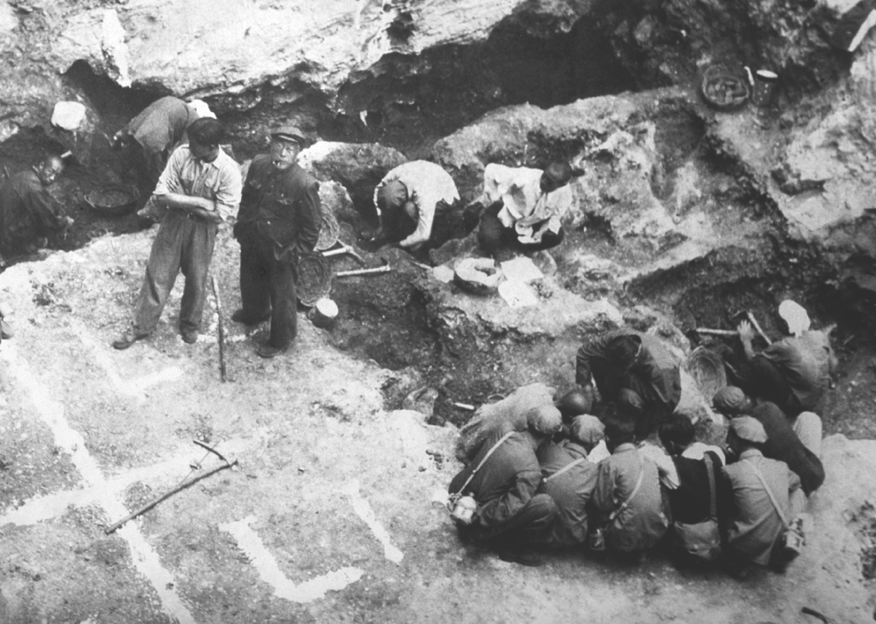  Peking Man excavations, China, 1920s. Archaeologists and workers excavating at the discovery place of the skull of the fossil known as 'Peking Man'. This specimen of Homo erectus pekinensis was found at the Zhoukoudian caves in northern China, near Beijing (Peking). The fossils date from between 700,000 and 530,000 years ago. The main fossil discoveries took place between 1923 and 1927. Photographed in the 1920s.