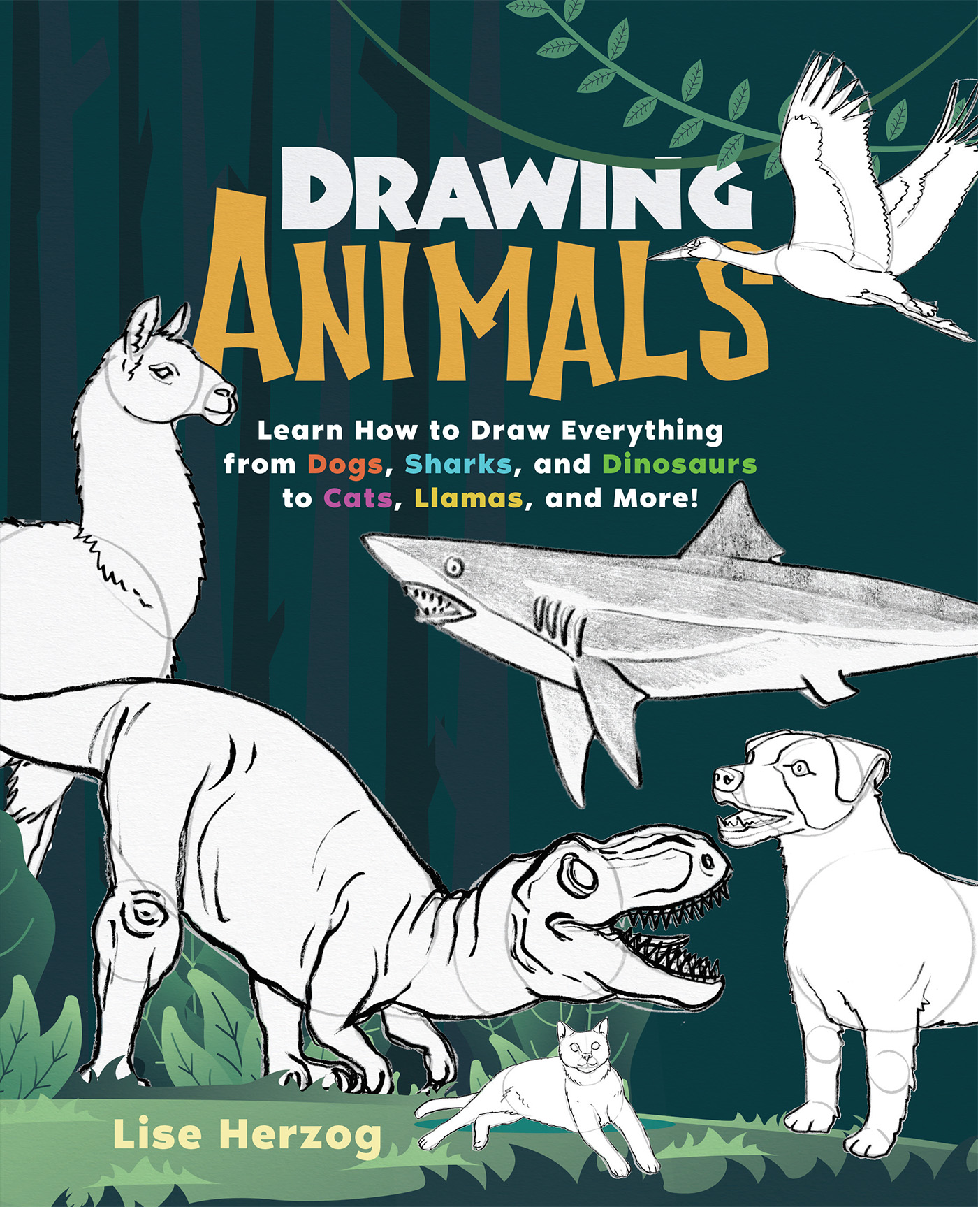 Cover: Drawing Animals, by Lise Herzog