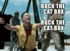 rock-the-catbox.psd