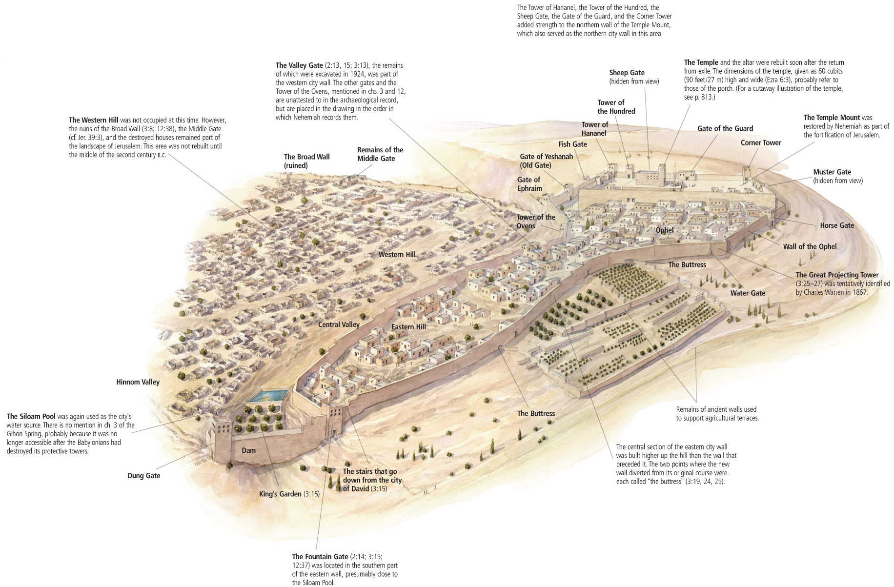 Jerusalem in the Time of Nehemiah (c. 444–420?)