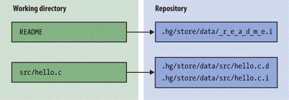 Relationships between files in working directory and filelogs in repository