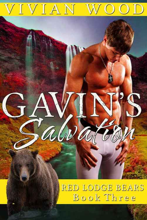 Gavin’s Salvation Cover