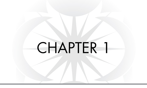 Chapter 1