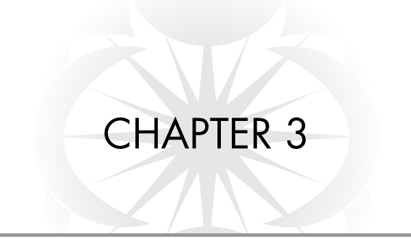 CHAPTER 3