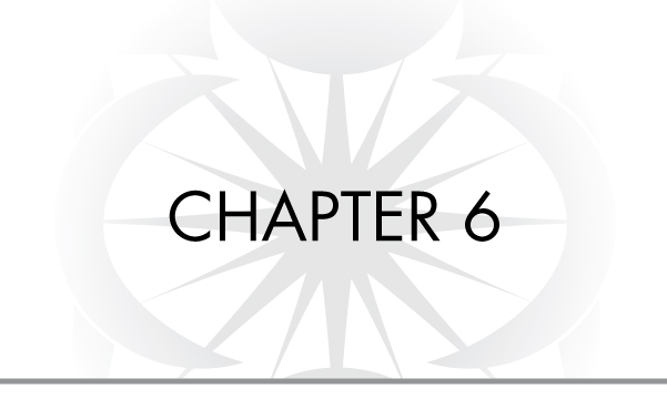 CHAPTER 6