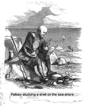 Palissy studying a shell on the sea-shore