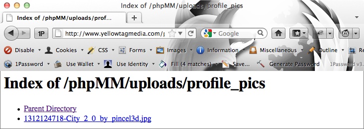 Honestly, it’s probably not a great thing if you can look at files like this. It basically means that anyone with a web browser can navigate your site’s directory structure. So while this is great for debugging, it’s not something you want to leave on, and you may want to email or call your web server provider or hosting company and ask them to turn off directory listings through the Internet.