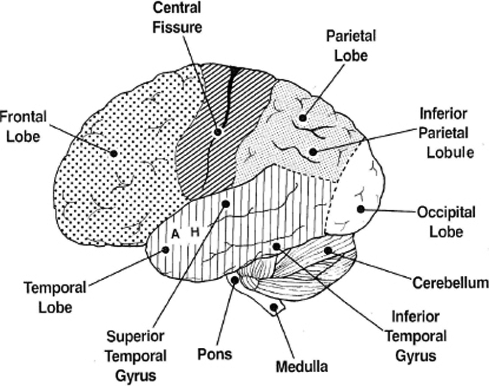 Figure 2.1