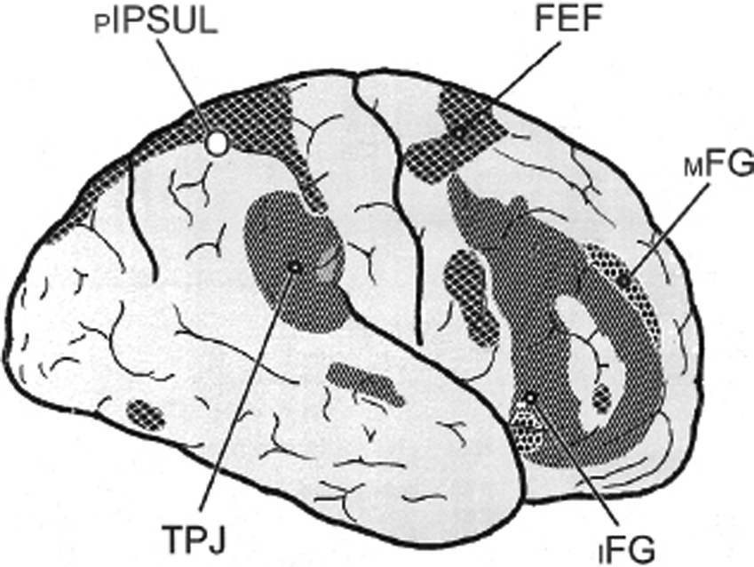 Figure 2.2