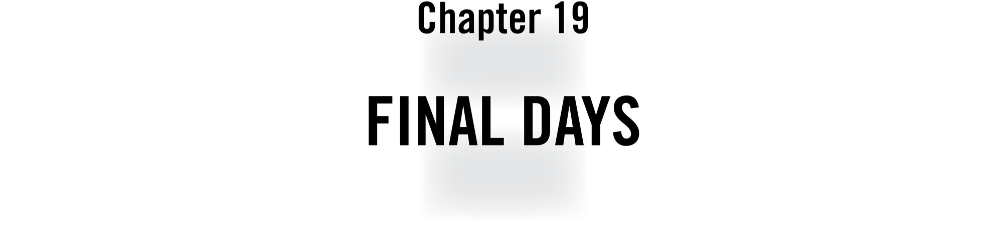 Chapter 19 Final Days