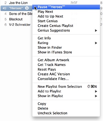 This contextual menu appears when you Control-click a song in your iTunes library or in a playlist.