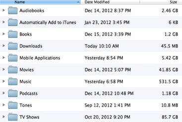 The contents of my iTunes Media folder. You may not have all these subfolders, depending on the content in your iTunes library.