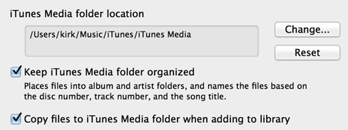 These options let you tell iTunes how you to organize your files.