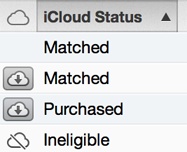 Here’s a look at typical icons and messages that appear in the iCloud Download and iCloud Status columns.