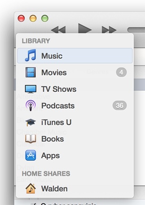 You see the names of any shared libraries that iTunes has spotted on your network in the Source menu.