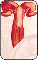 _04_emperor_widder1.tif
