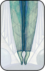 _08_adjustment_Frau3.tif