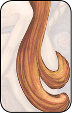 _11_lust_Haar5.tif