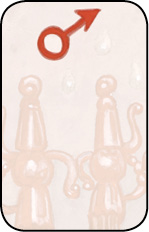 _swords_09_mars9.tif