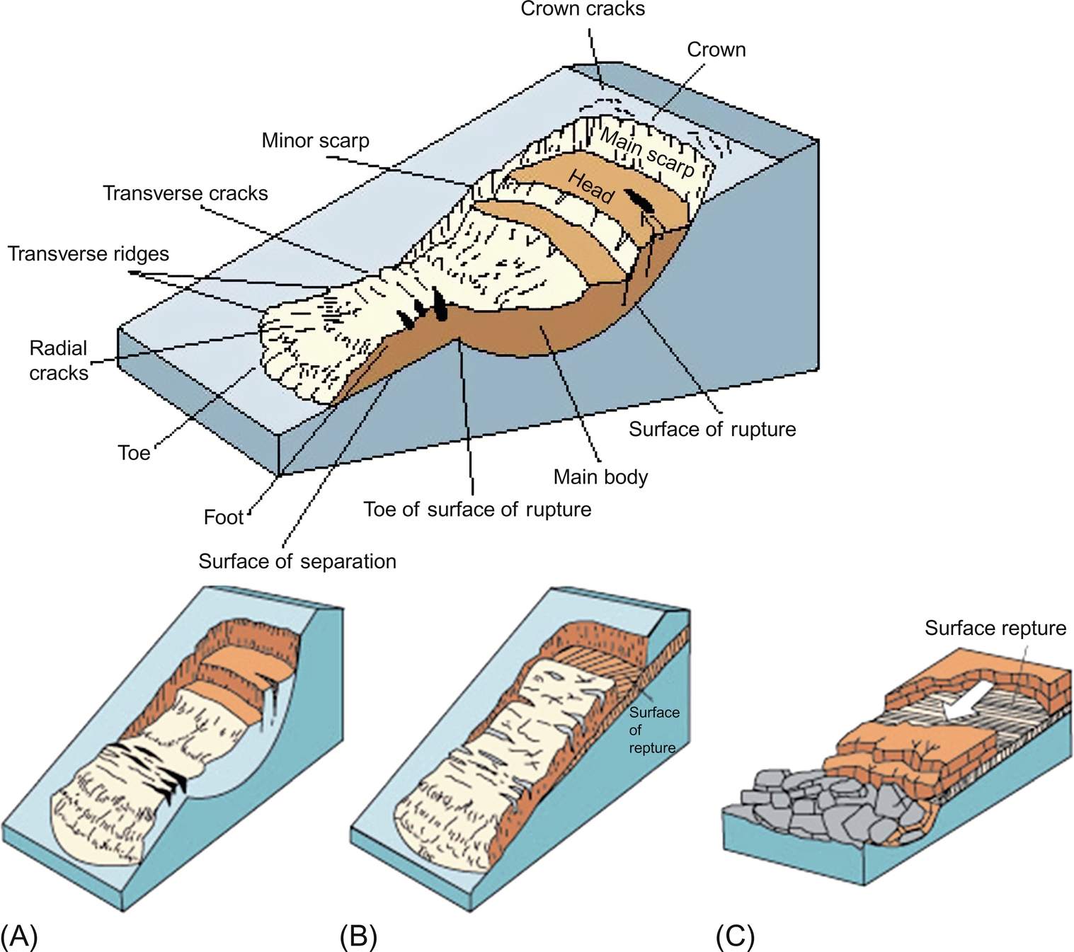 Fig. 8.5