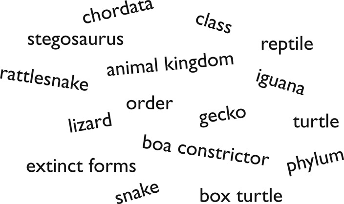 Figure 8.8 A scattergram of terms and labels used in the order of the reptile class of animals.