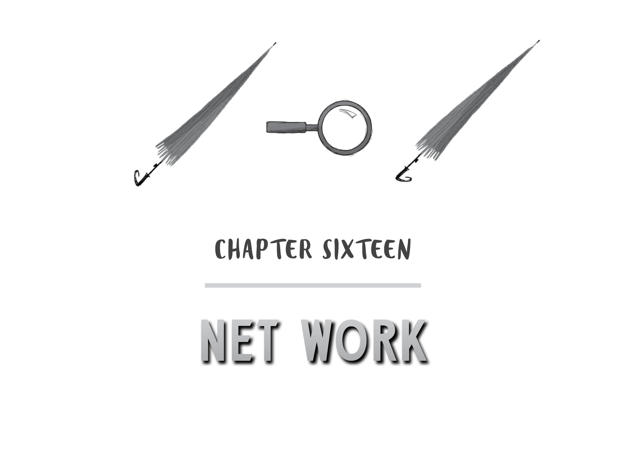 Chapter Sixteen Net Work