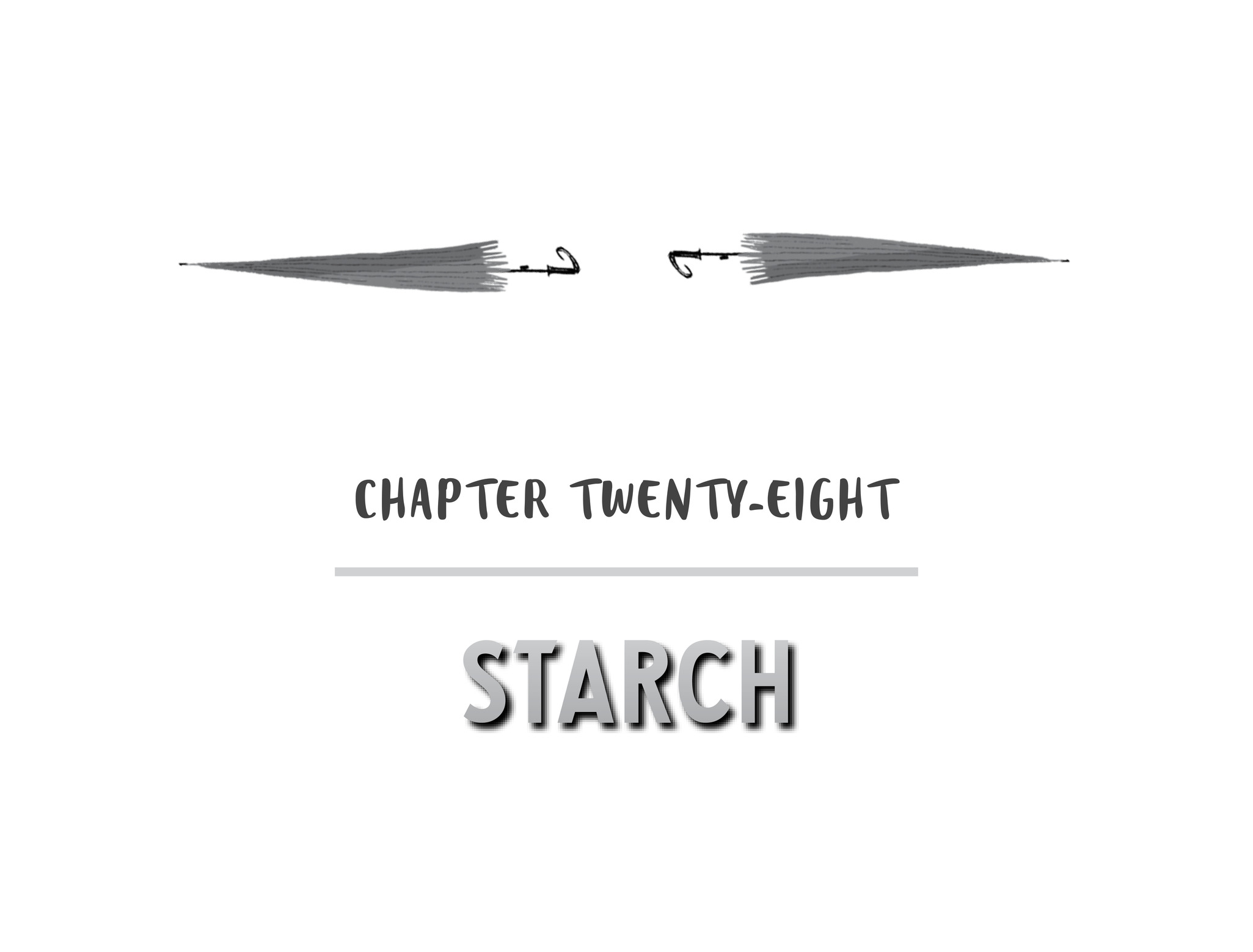 Chapter Twenty-Eight STARCH