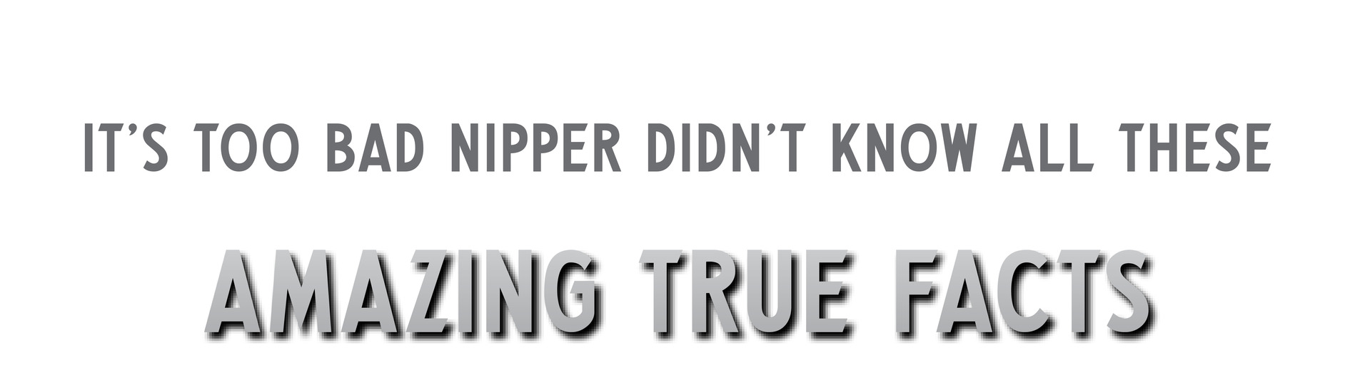 It’s too bad Nipper didn’t know all these Amazing True Facts