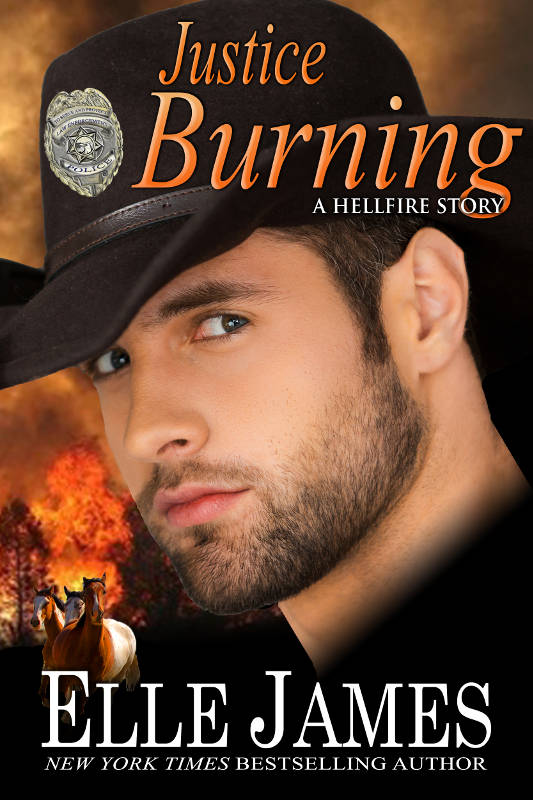 Cover for Justice Burning