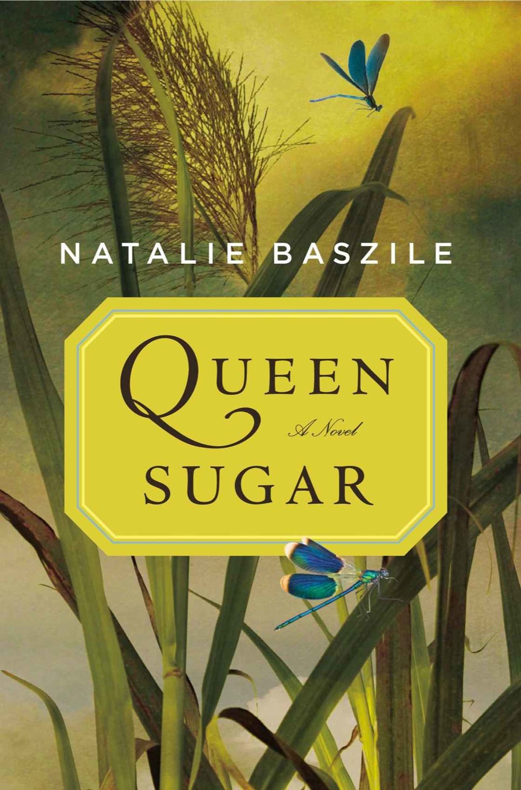 Cover for Queen Sugar