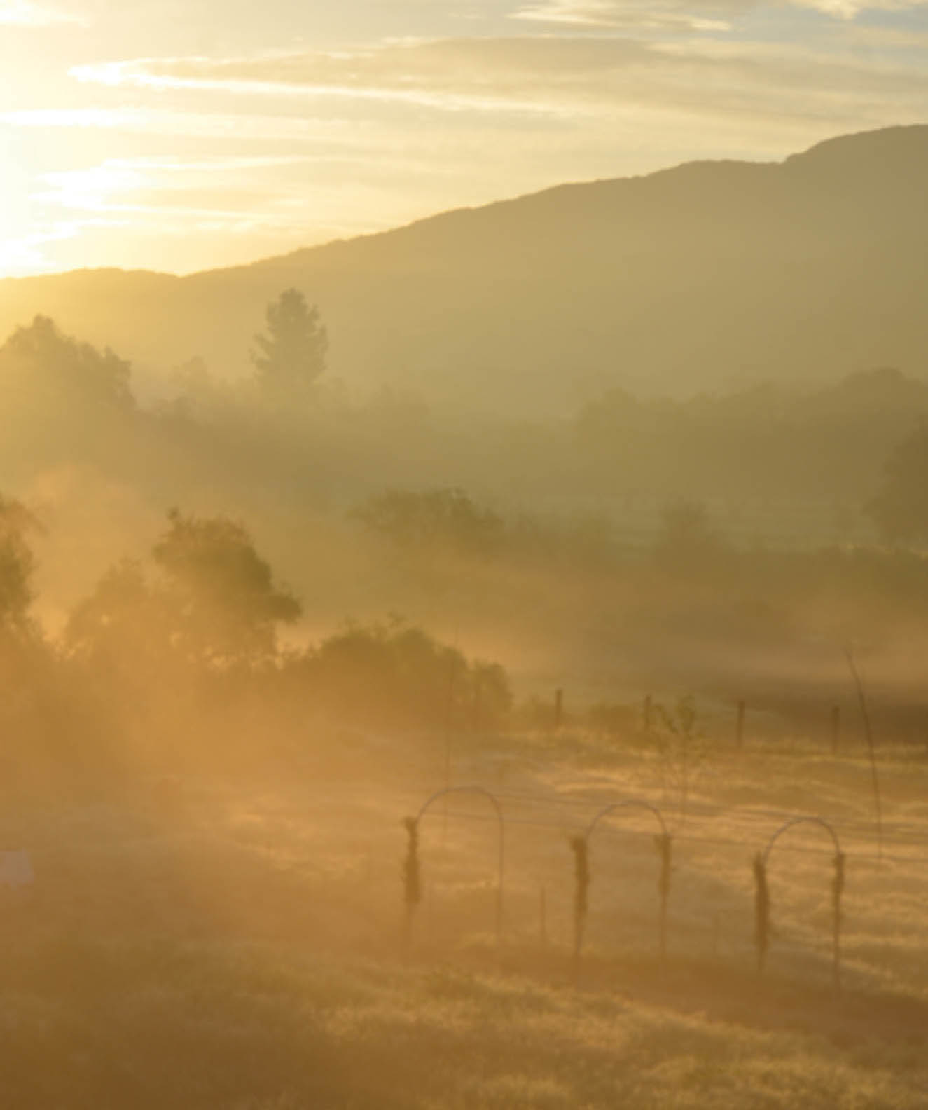 Photo of the farm at sunset.