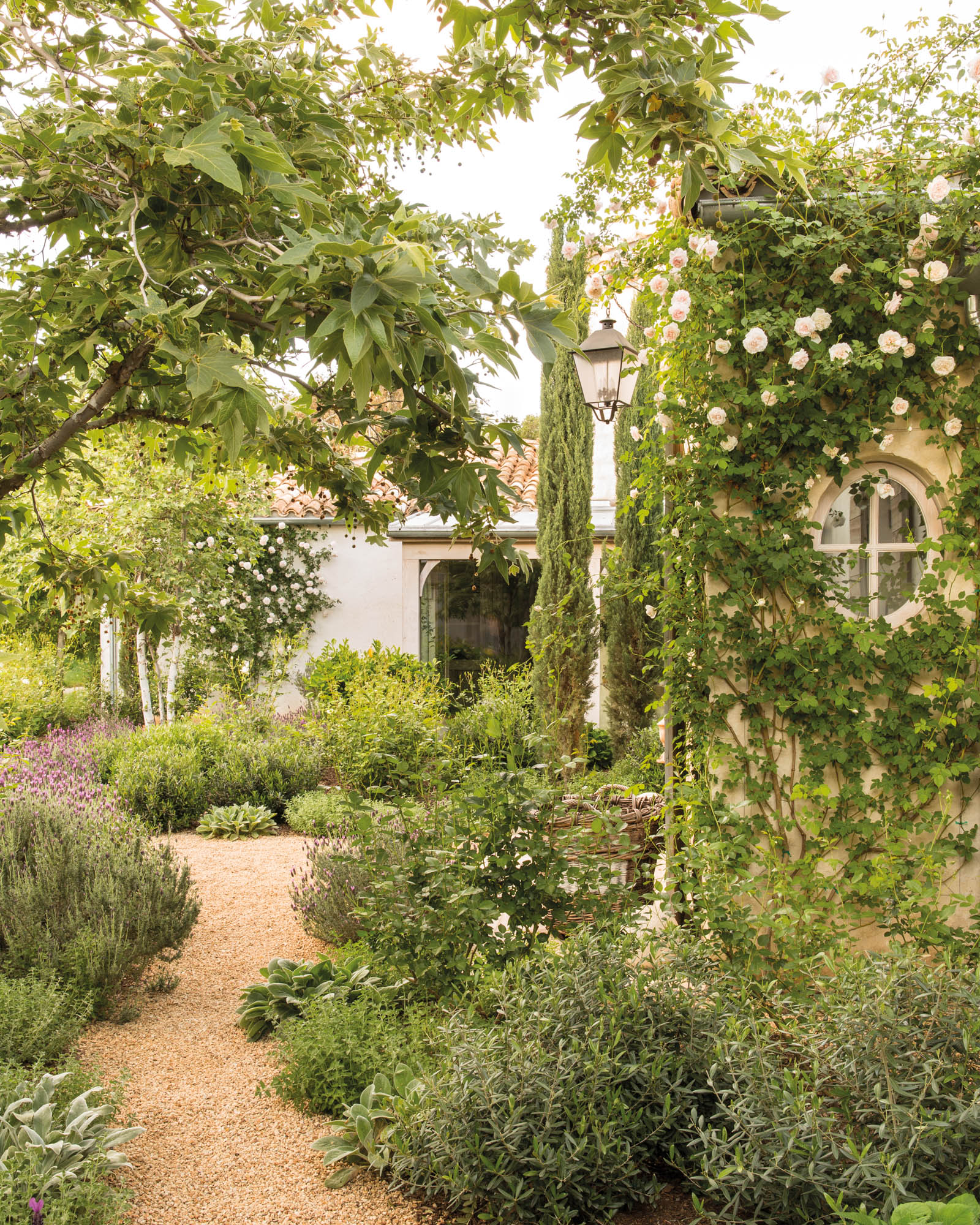 Photo of ivy-covered walls and a plant-lined path outside the home.