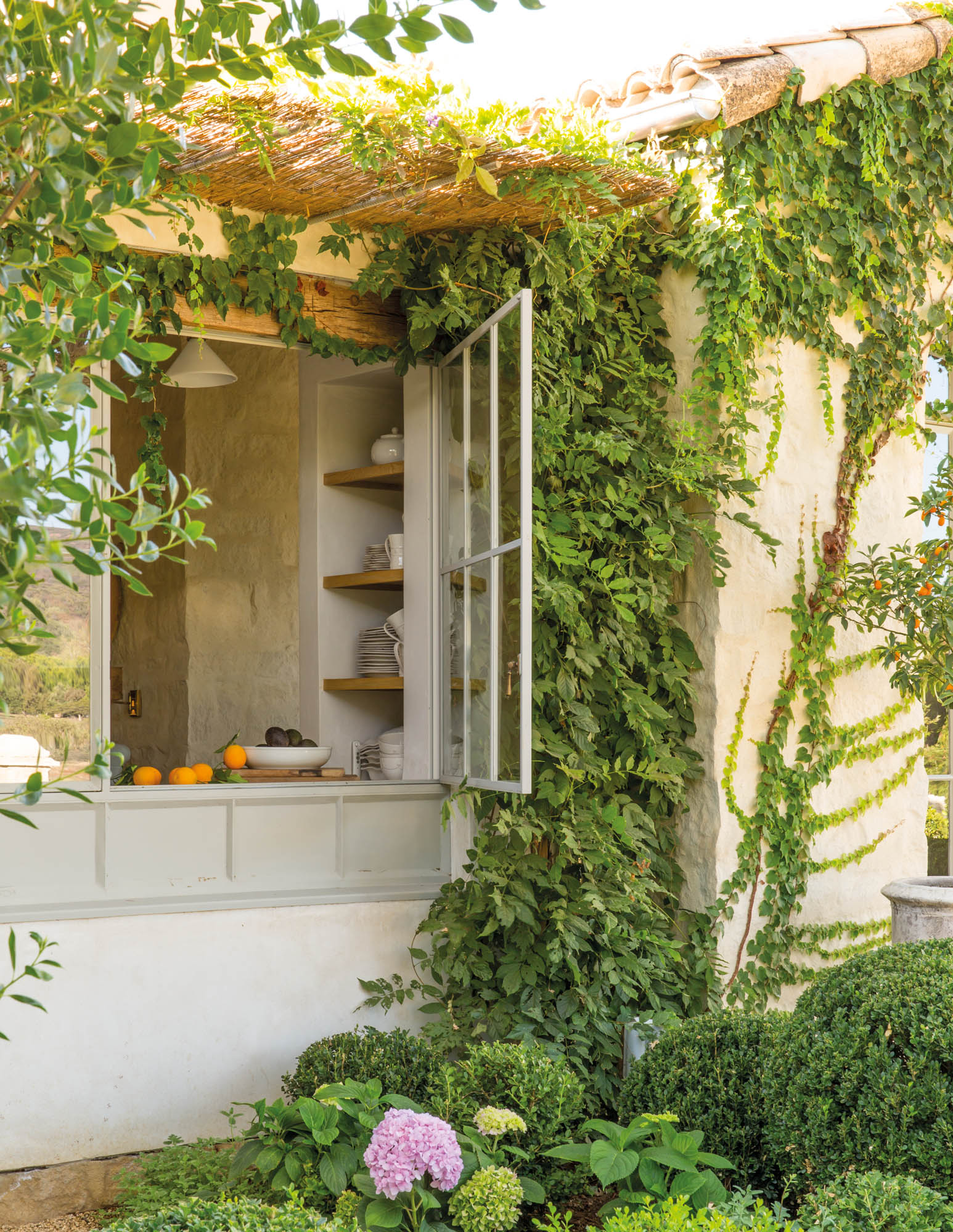 Photo of large steel windows that go all the way to the countertop and storage shelves built into plaster walls, giving an unobstructed view of the gardens from the kitchen.