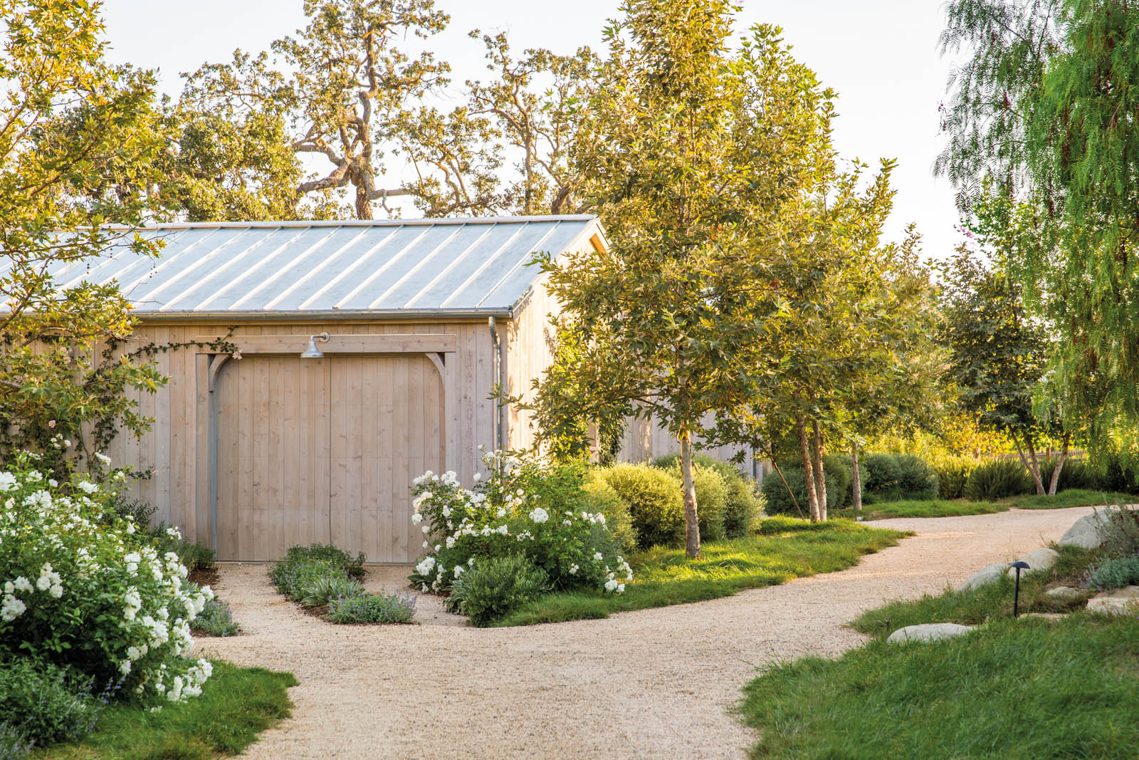 Photo of the barn, roses, and pathway.