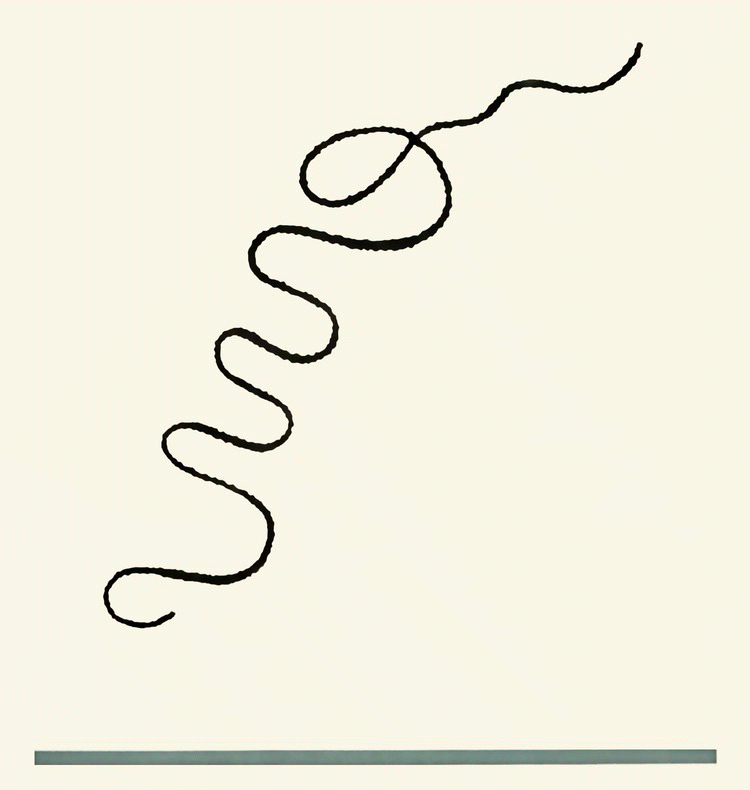 Illustration of a squiggly line.