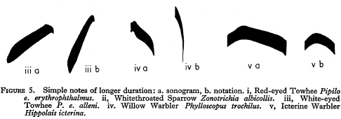 10307_005_fig_005.jpg