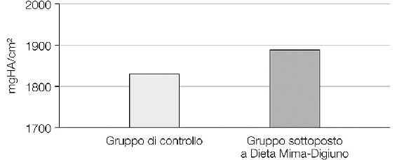 6.2. I topi vecchi sottoposti alla Dieta Mima-Digiuno mostrano una minore perdita della densità minerale ossea (mgHA) rispetto al gruppo di controllo.