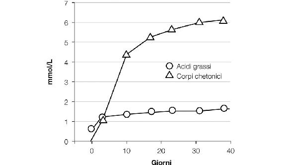 6.4. Grassi e corpi chetonici nel sangue di pazienti sottoposti a digiuno. Dopo pochi giorni di digiuno, il corpo umano utilizza grasso invece di glucosio per ottenere energia.