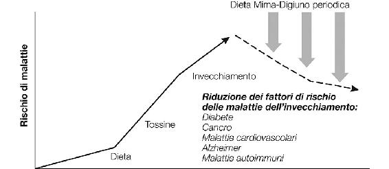 6.7. L’effetto di ringiovanimento della Dieta Mima-Digiuno.