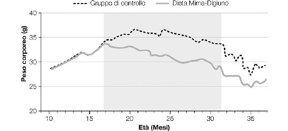 8.4. La riduzione del peso corporeo nei topi di mezz’età sottoposti a Dieta Mima-Digiuno senza restrizione calorica.