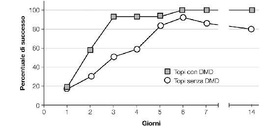 10.1. Miglioramento nei test cognitivi dei topi sottoposti a Dieta Mima-Digiuno.