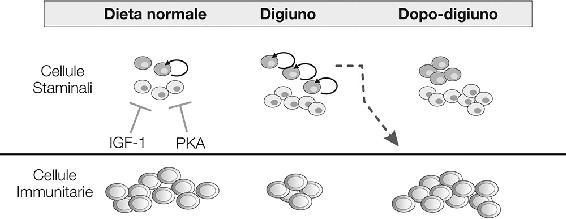 11.2. La «rigenerazione da dentro».