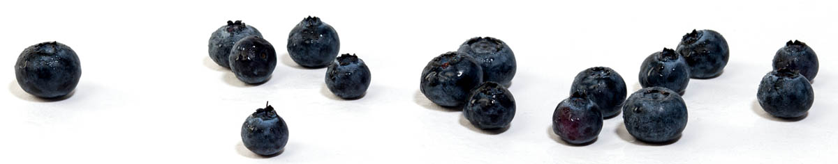 photo of blueberries siloutted on white background