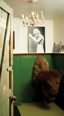 A bison head sticking out of a bright-green wall, above which is a picture of a singer and a crooked chandelier hanging from the ceiling