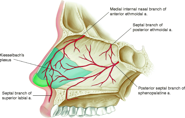 A978-0-387-89028-9_4_Fig3_HTML.gif