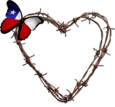 Image result for Texas brand in a heart