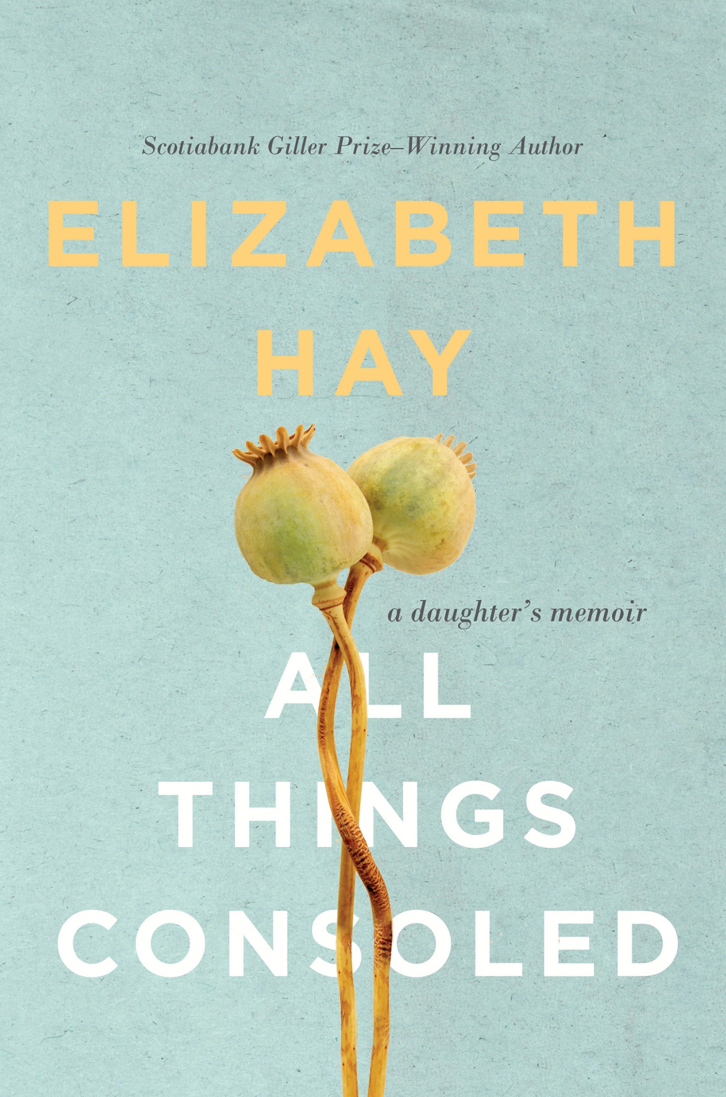 Cover for All Things Consoled