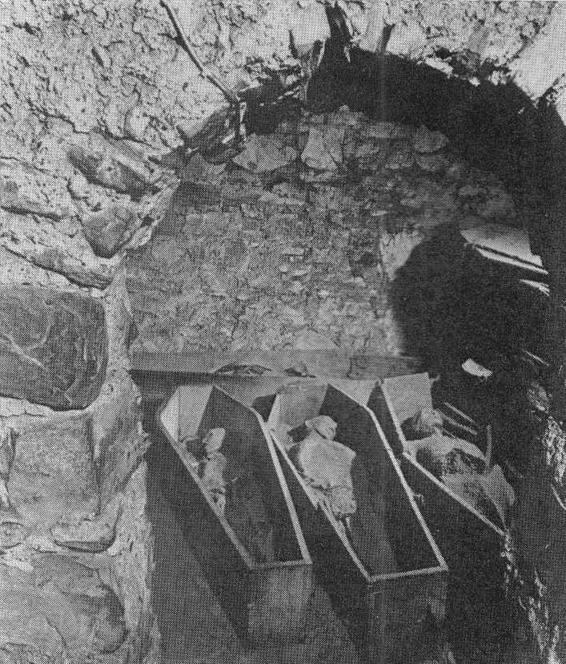 The vaults of St Michan’s Church, Dublin